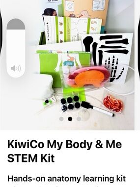 Kiwi Green Educational Body Puzzle